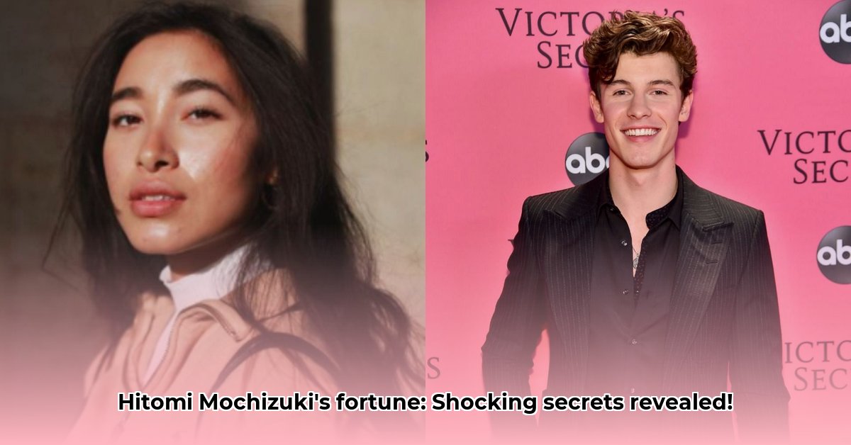 hitomi-mochizuki-net-worth